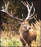 Podrobn�j�� �daje >>>